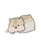仲良しハムスター（個別スタンプ：27）