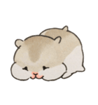仲良しハムスター（個別スタンプ：31）