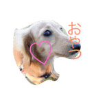 ぷあのあ（個別スタンプ：3）