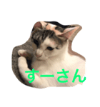 すーーさん（個別スタンプ：3）