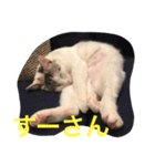 すーーさん（個別スタンプ：7）