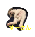 すーーさん（個別スタンプ：8）