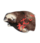 ちゃーちゃんとみんなの楽しい日々（個別スタンプ：2）