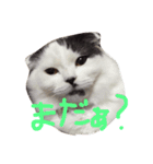 ふくとまろ（個別スタンプ：11）