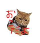 ふくとまろ（個別スタンプ：14）