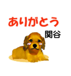 関谷さん用の名前スタンプ・子犬イラスト（個別スタンプ：3）