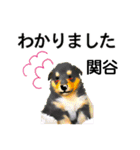 関谷さん用の名前スタンプ・子犬イラスト（個別スタンプ：5）