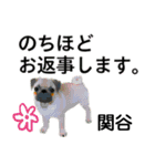 関谷さん用の名前スタンプ・子犬イラスト（個別スタンプ：11）