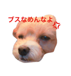 クーちゃん series❤（個別スタンプ：4）