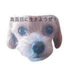 クーちゃん series❤（個別スタンプ：7）