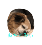 く～ちゃん（個別スタンプ：1）