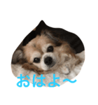 く～ちゃん（個別スタンプ：2）
