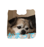 く～ちゃん（個別スタンプ：5）