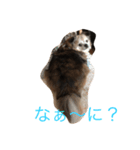 く～ちゃん（個別スタンプ：8）