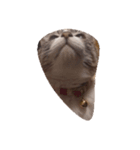 えんがわ（個別スタンプ：1）