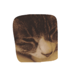 えんがわ（個別スタンプ：2）