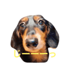 ぷりてぃここたん（個別スタンプ：4）