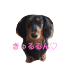ぷりてぃここたん（個別スタンプ：7）