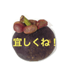 宜しくお願いシリーズ（個別スタンプ：1）
