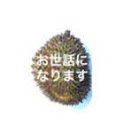 宜しくお願いシリーズ（個別スタンプ：5）