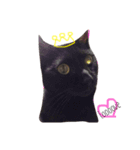 くろねこのくー（個別スタンプ：8）