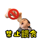 Iain ＆ Ivy（個別スタンプ：23）