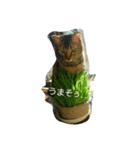ネコのメイちゃん（個別スタンプ：3）