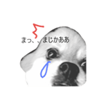 わんこ好きのスタンプ（個別スタンプ：6）
