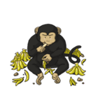 CoCo Funny Monkey（個別スタンプ：8）