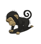 CoCo Funny Monkey（個別スタンプ：11）
