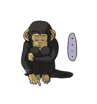 CoCo Funny Monkey（個別スタンプ：16）