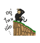 CoCo Funny Monkey（個別スタンプ：34）
