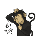 CoCo Funny Monkey（個別スタンプ：36）