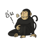 CoCo Funny Monkey（個別スタンプ：37）