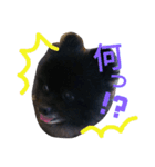 ふわモコ（個別スタンプ：2）