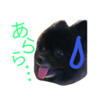 ふわモコ（個別スタンプ：8）