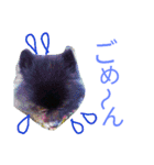 ふわモコ（個別スタンプ：16）