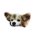 Tと愉快な仲間たち（個別スタンプ：5）