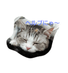 いちごの猫日和（個別スタンプ：7）