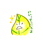 タヌキと葉っパイセン（個別スタンプ：7）