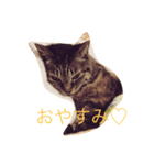 チョコスタンプ（個別スタンプ：4）