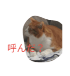 だる猫スタンプ（個別スタンプ：3）