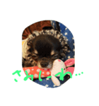 tarou go（個別スタンプ：4）
