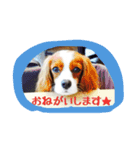 キャバリア 奈々希＆燐 第1弾（個別スタンプ：2）