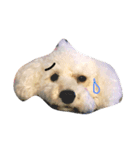 HE name LUANA（個別スタンプ：1）