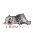 たくちゃん（個別スタンプ：6）