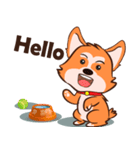 Corgi Dog（個別スタンプ：1）