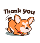 Corgi Dog（個別スタンプ：2）