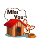 Corgi Dog（個別スタンプ：3）
