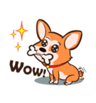 Corgi Dog（個別スタンプ：4）